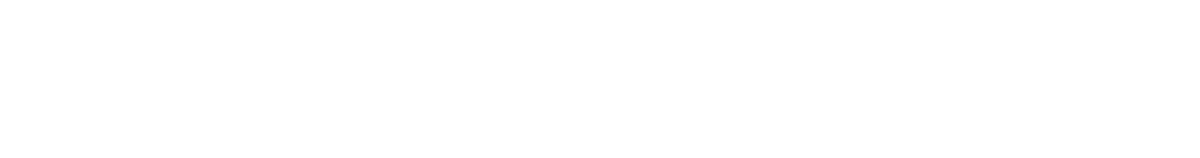 BOT Engineers Logo Watermark